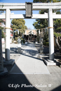 住吉神社全景