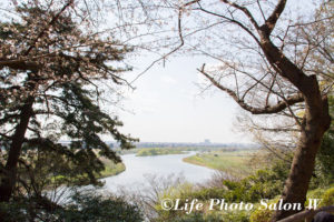 多摩川の風景