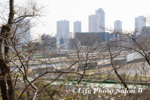 武蔵小杉方面の風景