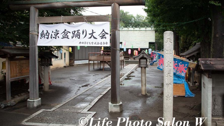 井田神社全景