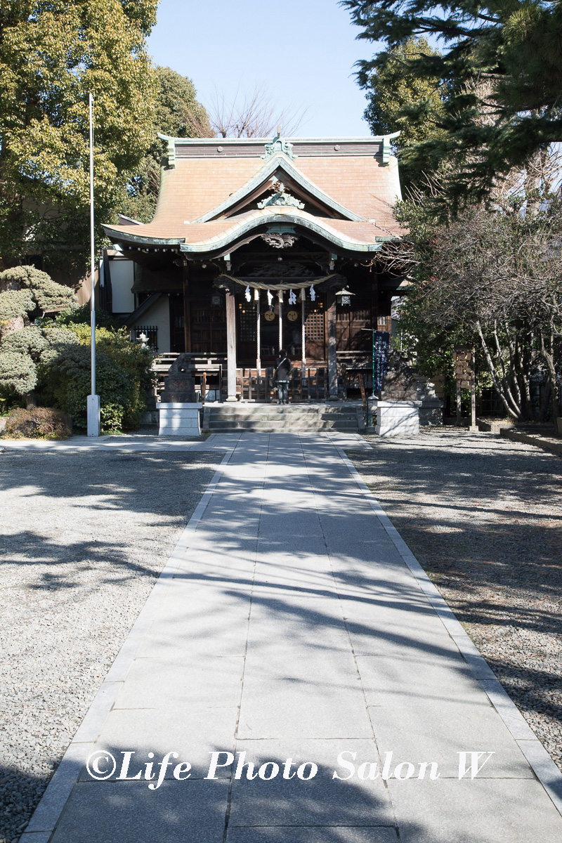 元住吉の住吉神社へのお宮参りの出張撮影